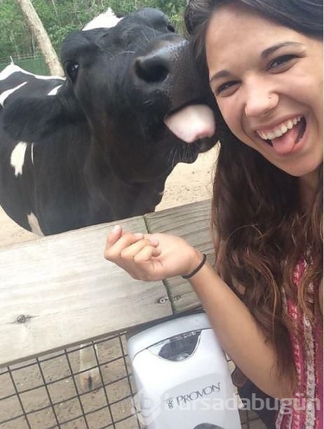 Hayvanlarıyla birlikte çekilmiş 20 selfie