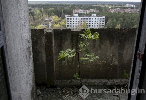 Hayalet şehir Pripyat