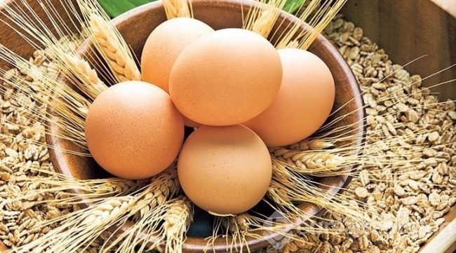 Yaza fit girmenin formülü bu haberde! 1 haftada tam...