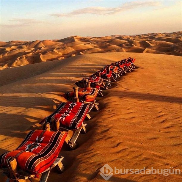 İkoncan Afrika'da!