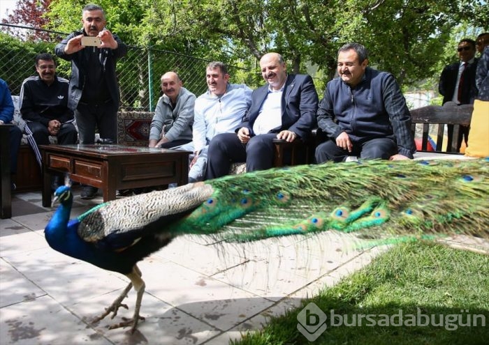 Bakanlar sağlıklı yaşam için pedal çevirdi