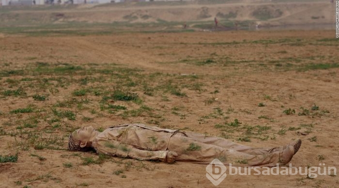 Fotoğraftaki saklanmış insanı bulabilir misin?