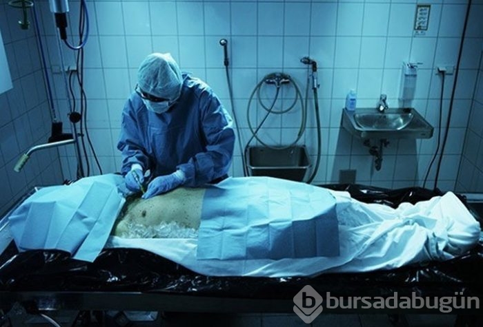 İnsanları dondurup sonra diriltmek mümkün mü?
