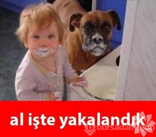En komik bebek Caps'leri