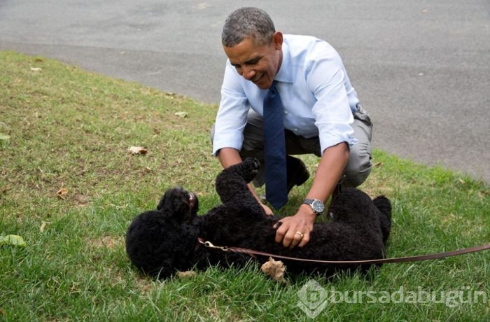 Özel fotoğraflarla Beyaz Saray'da 'Obama'