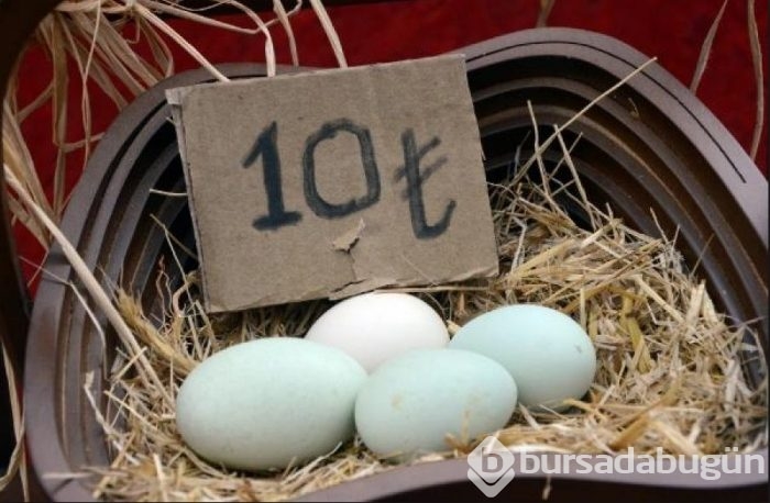 Bu yumurtaların tanesi 10 lira