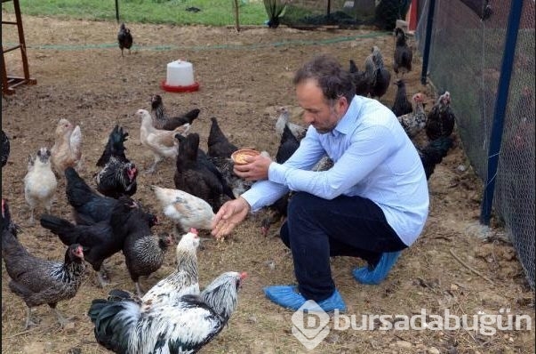 Bu yumurtaların tanesi 10 lira