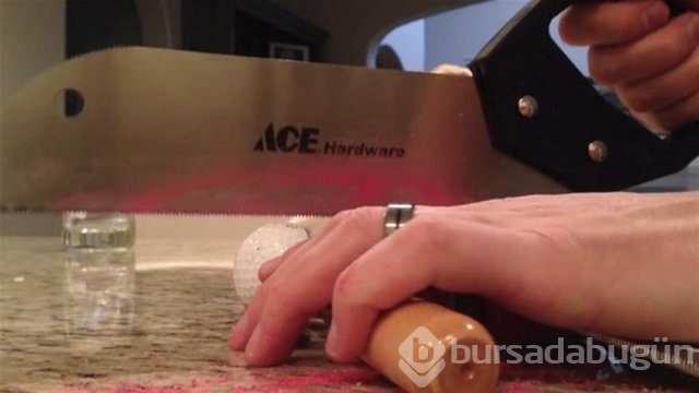 Ortasından kesip içini açtılar. Bakın ne çıktı?