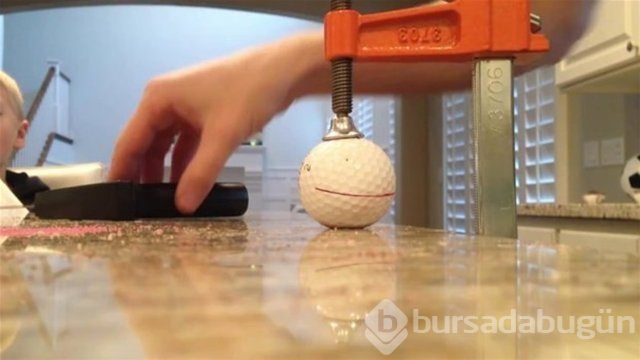 Ortasından kesip içini açtılar. Bakın ne çıktı?