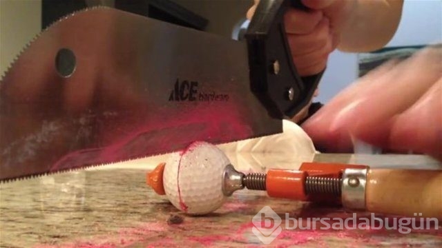 Ortasından kesip içini açtılar. Bakın ne çıktı?