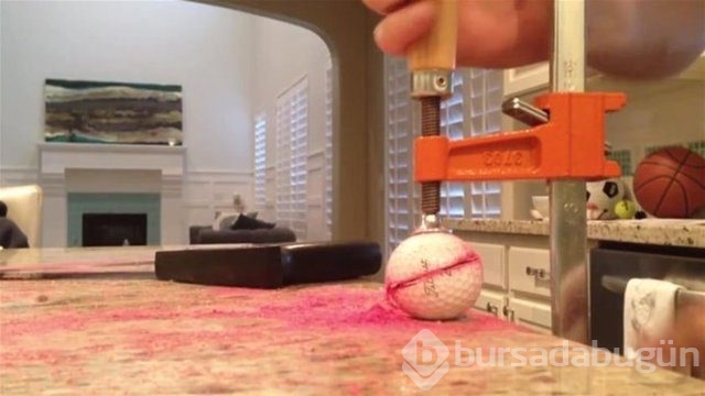 Ortasından kesip içini açtılar. Bakın ne çıktı?