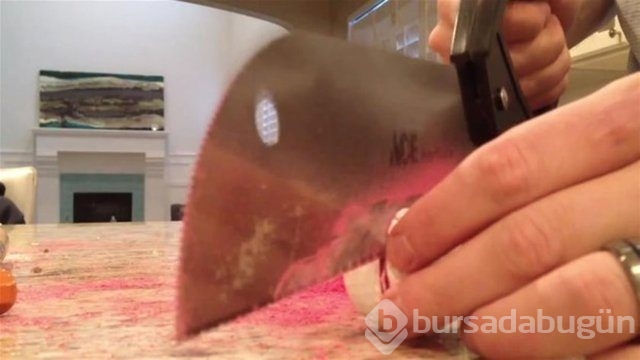 Ortasından kesip içini açtılar. Bakın ne çıktı?