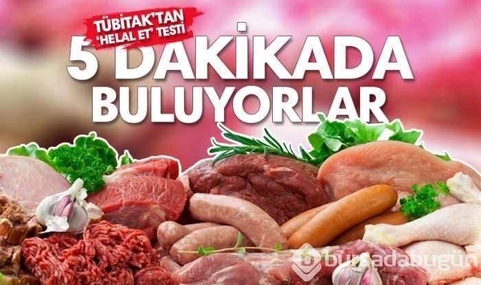 5 dakikada helal et testi