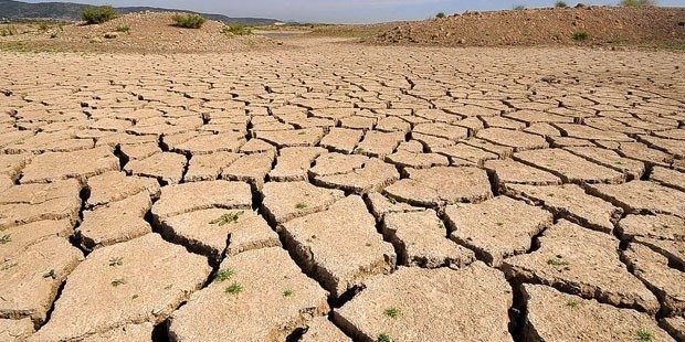 Küresel ısınma 500 milyon kişiyi tehdit ediyor