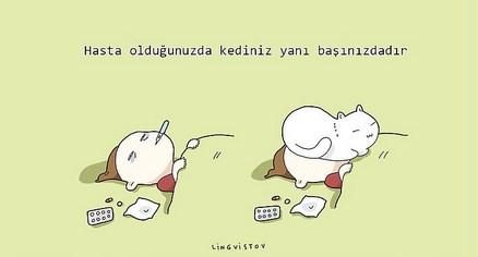 kedilerin hayatımıza kattığı 21 şey