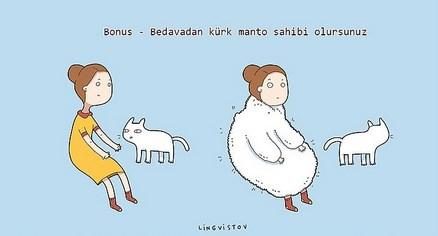 kedilerin hayatımıza kattığı 21 şey