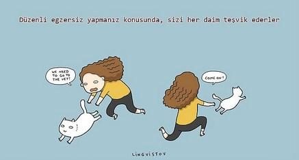 kedilerin hayatımıza kattığı 21 şey