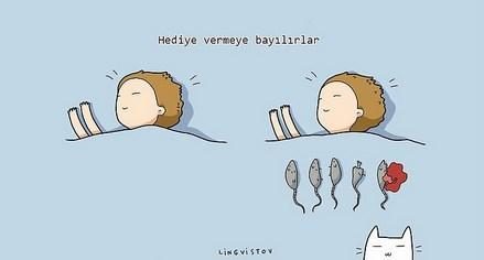 kedilerin hayatımıza kattığı 21 şey