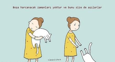 kedilerin hayatımıza kattığı 21 şey