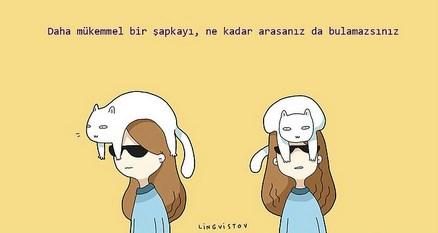 kedilerin hayatımıza kattığı 21 şey