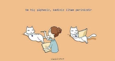 kedilerin hayatımıza kattığı 21 şey