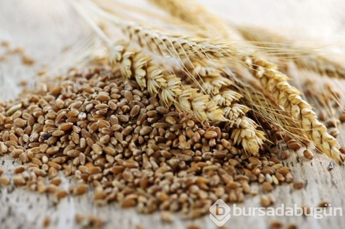 Ekmek düşündüğünüzden daha faydalı