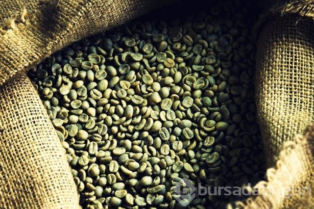 Yeşil kahve bakın nelere iyi geliyor