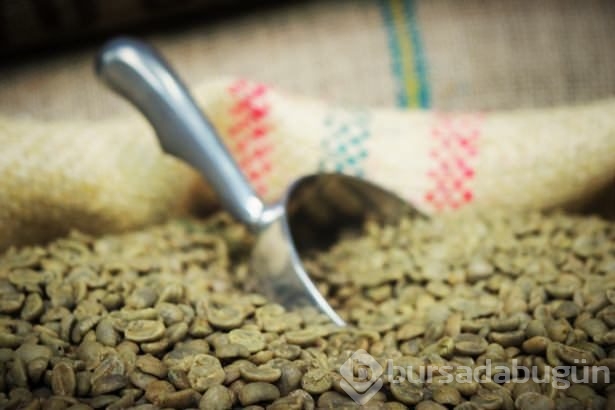 Yeşil kahve bakın nelere iyi geliyor
