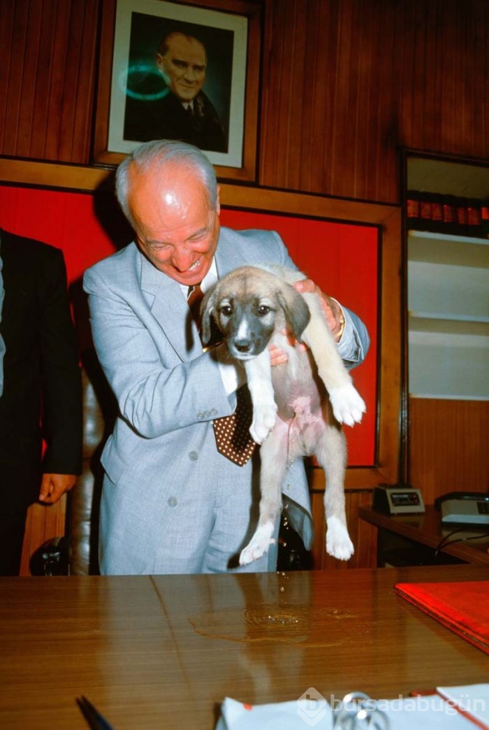 Depo'dan çıkan Türkiye fotoğrafları
