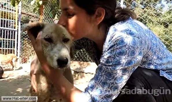 Ölmek üzere olan köpekleri hayata döndürdüler