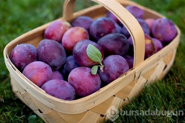 Bu besinler böbreklere iyi geliyor!