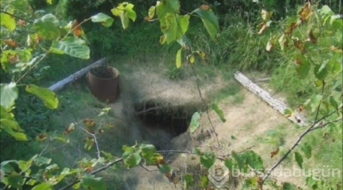 Oak Adası'nın 221 yıldır çözülemeyen gizemi
