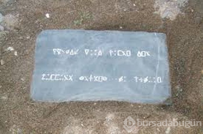 Oak Adası'nın 221 yıldır çözülemeyen gizemi
