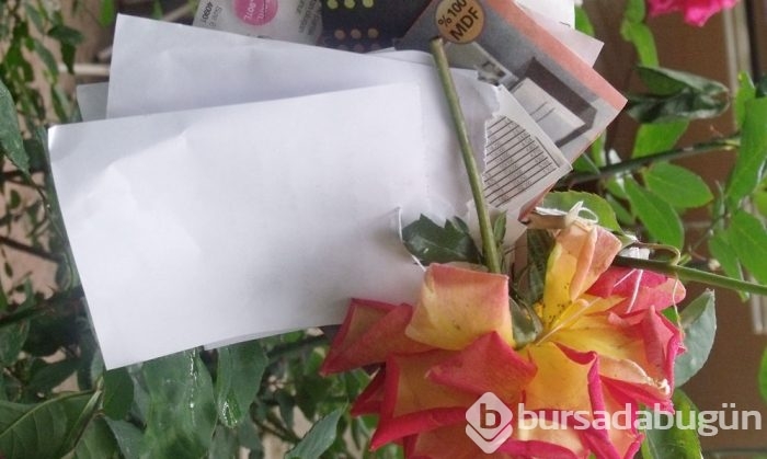 Bugün Hıdırellez! Dileklerinizi hazırladınız mı?