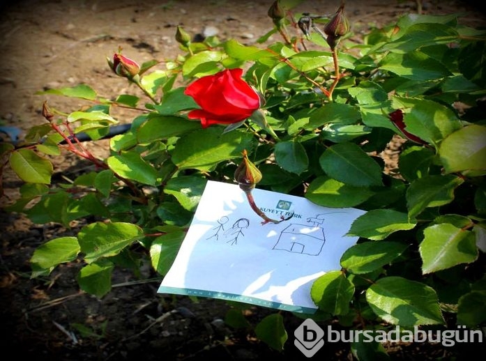 Bugün Hıdırellez! Dileklerinizi hazırladınız mı?