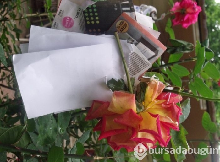Bugün Hıdırellez! Dileklerinizi hazırladınız mı?