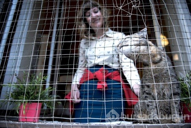 Polonya'da kedi konseptli kafe
