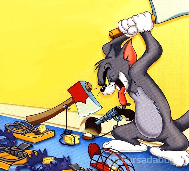 Tom ve Jerry'e terör suçlaması