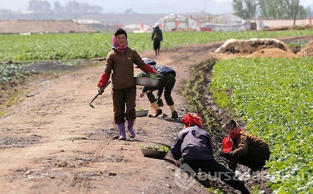 'En gizemli ülke'den yeni kareler
