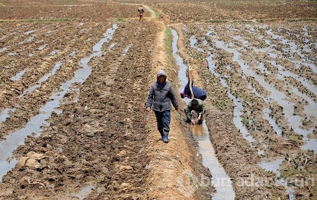 'En gizemli ülke'den yeni kareler
