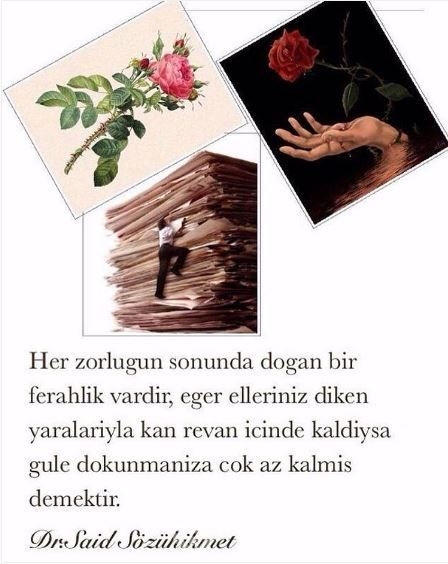 İnstagram'da ünlüler 6 Mayıs 2016
