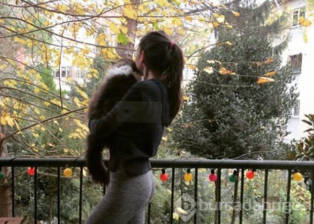Neslihan Atagül'ün hayvan sevgisi