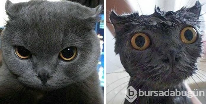 Bir de banyodan sonra görün!