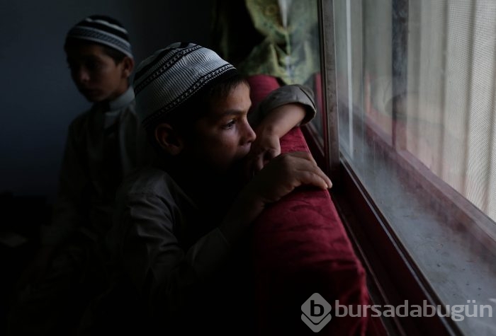 Güneş battıktan sonra bitkisel hayata giriyorlar