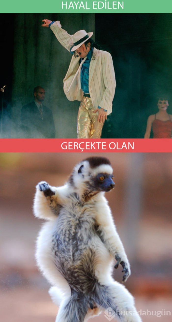 Gerçekler ve beklentiler