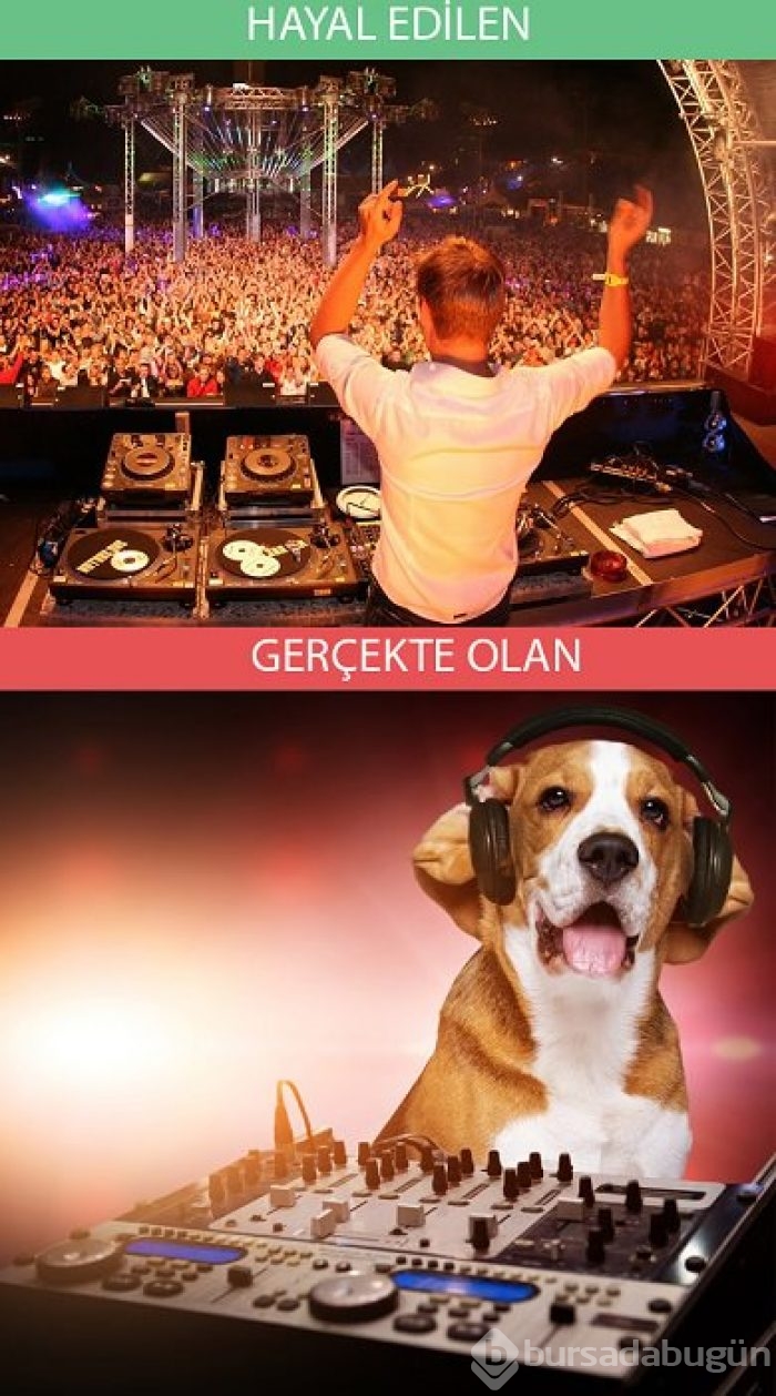Gerçekler ve beklentiler
