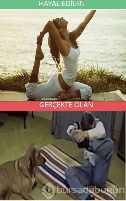 Gerçekler ve beklentiler