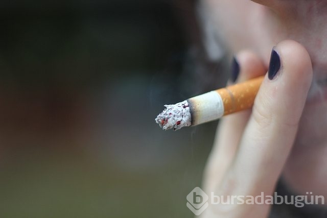 O ülke hamilelere sigarayı bırakmaları için 300 Euro verecek
