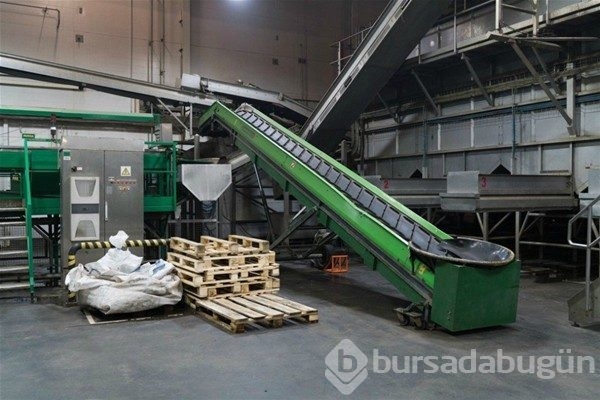 Cips nasıl yapılır?
