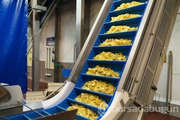 Cips nasıl yapılır?
